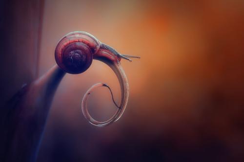 心理学家彻底忘掉一个人需要三步,心理学家说怎么才能忘掉一个人