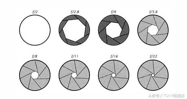 单反相机摄影入门知识书籍推荐,单反摄影光圈多少合适