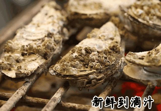 蚝皇爆汁,爆汁蚝皇多少钱一只