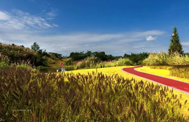 温江有什么魅力,温江人文底蕴深厚