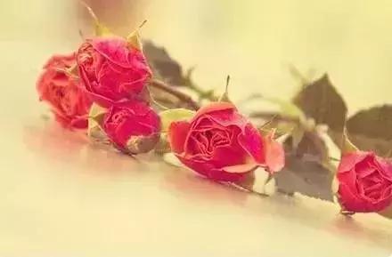 让善缘延续2019,人生贵在结善缘的感悟