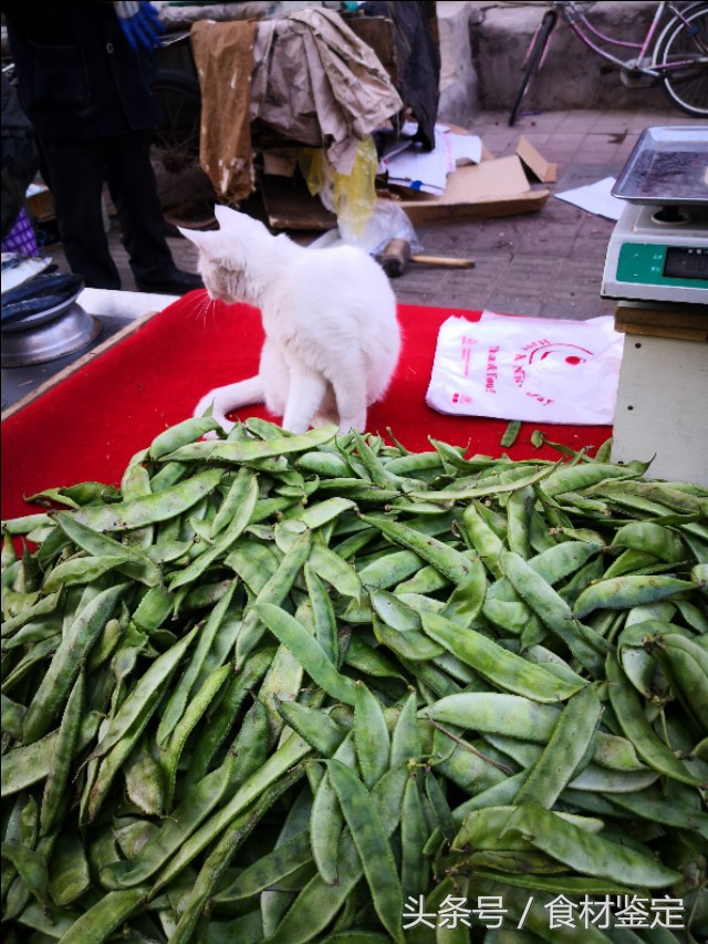 沈阳农贸市场里的美食,沈阳的秋天很美