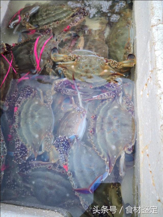 沈阳农贸市场里的美食,沈阳的秋天很美