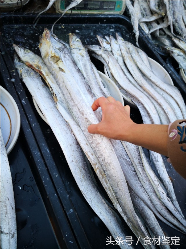 沈阳农贸市场里的美食,沈阳的秋天很美