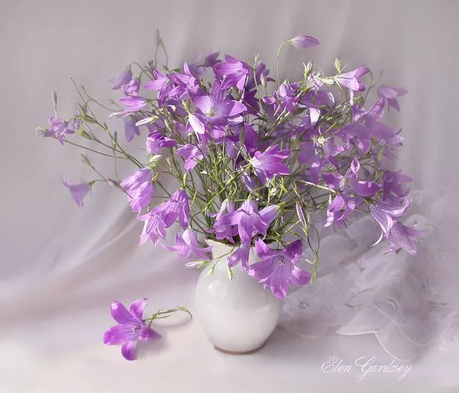 停下来是为了更好的前行800字,适时停下来为了更好的前行