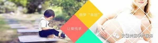 赴美生子后续问题,赴美生子回国后怎么办