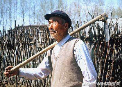 老农们不爱看篮球，足球……（诗歌）