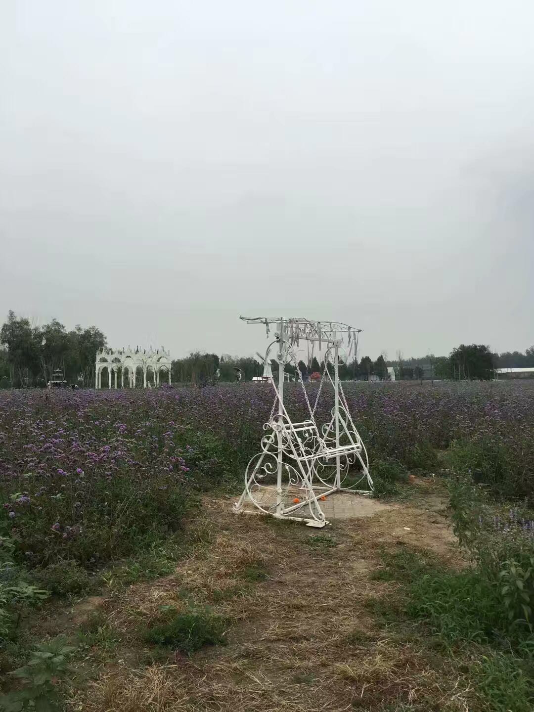 我的北京故事全集,我的故事1978完整版