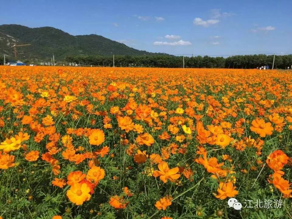 了解宁波:带你玩转江北