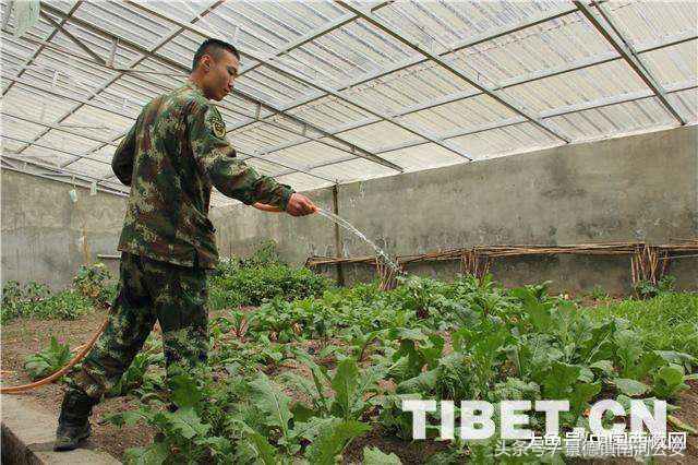 像格桑花一样戍守边关——*藏西**玉麦边防派出所戍边侧记