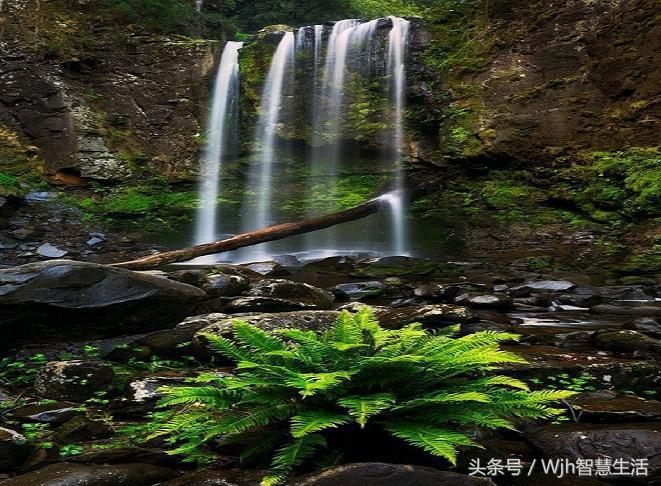 鬼谷子等十部书都有什么,鬼谷子写的什么经