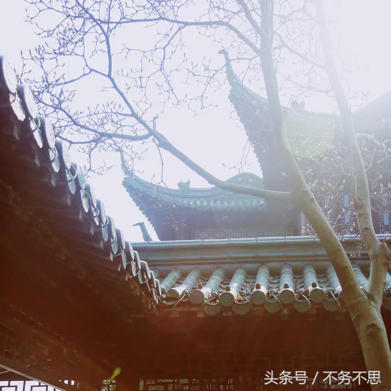 冬天扬州瘦西湖,十二月份的扬州瘦西湖