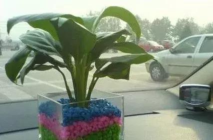 刚买的新车内有刺鼻的味怎么办 (刚买的新车味道太大怎么去除味)