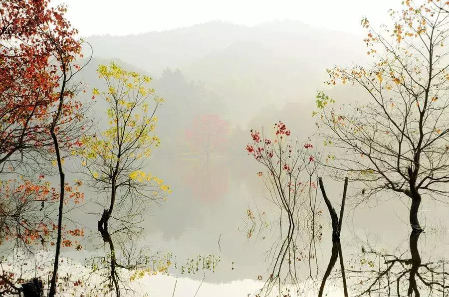 湖北赏秋十大景点,湖北十月最佳赏秋线路