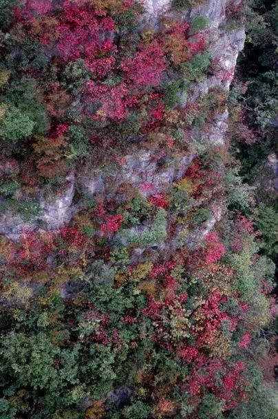 湖北赏秋十大景点,湖北十月最佳赏秋线路