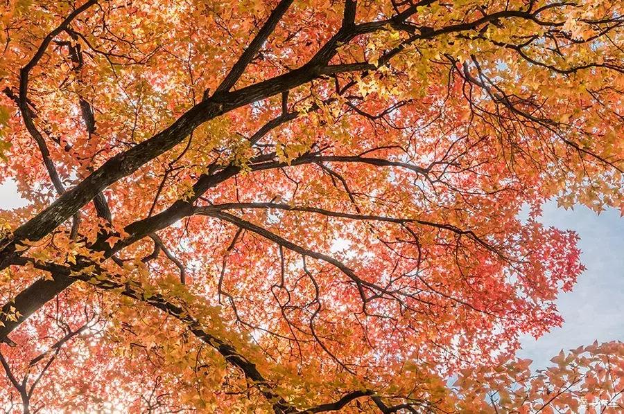湖北赏秋十大景点,湖北十月最佳赏秋线路