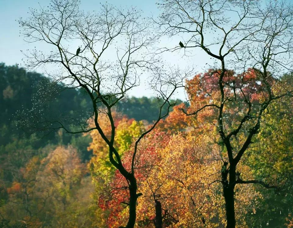 湖北赏秋十大景点,湖北十月最佳赏秋线路
