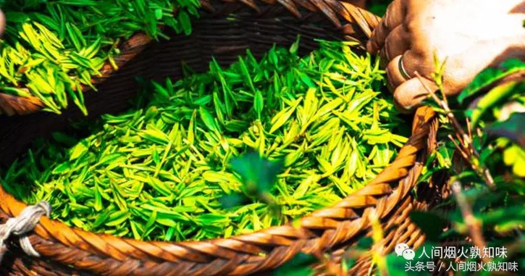 当我们在一起品茗谈心欣赏茶道时，有谁想过那些辛苦的采茶妹呢