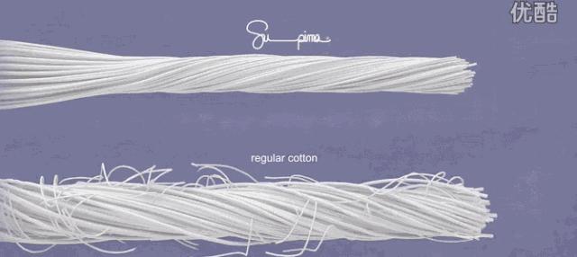 45支纯棉和50支纯棉哪个贵,同样是纯棉为何手感不一样