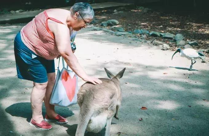 澳大利亚凯恩斯大堡礁旅游,凯恩斯绿岛大堡礁游记