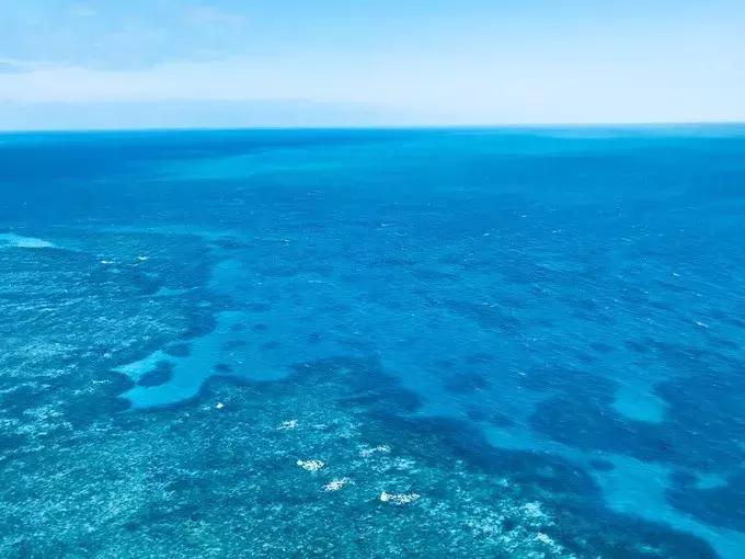 澳大利亚凯恩斯大堡礁旅游,凯恩斯绿岛大堡礁游记