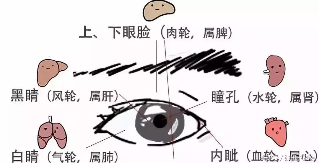 眼睛刮痧穴位的正确手法完整版,中医头部刮痧手法