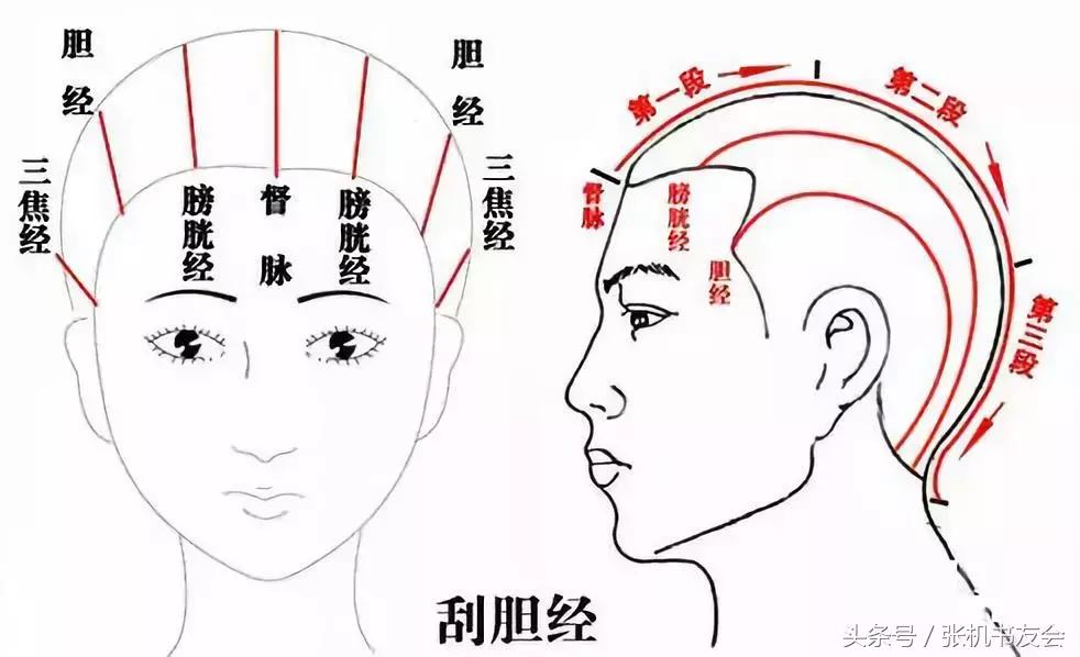 眼睛刮痧穴位的正确手法完整版,中医头部刮痧手法