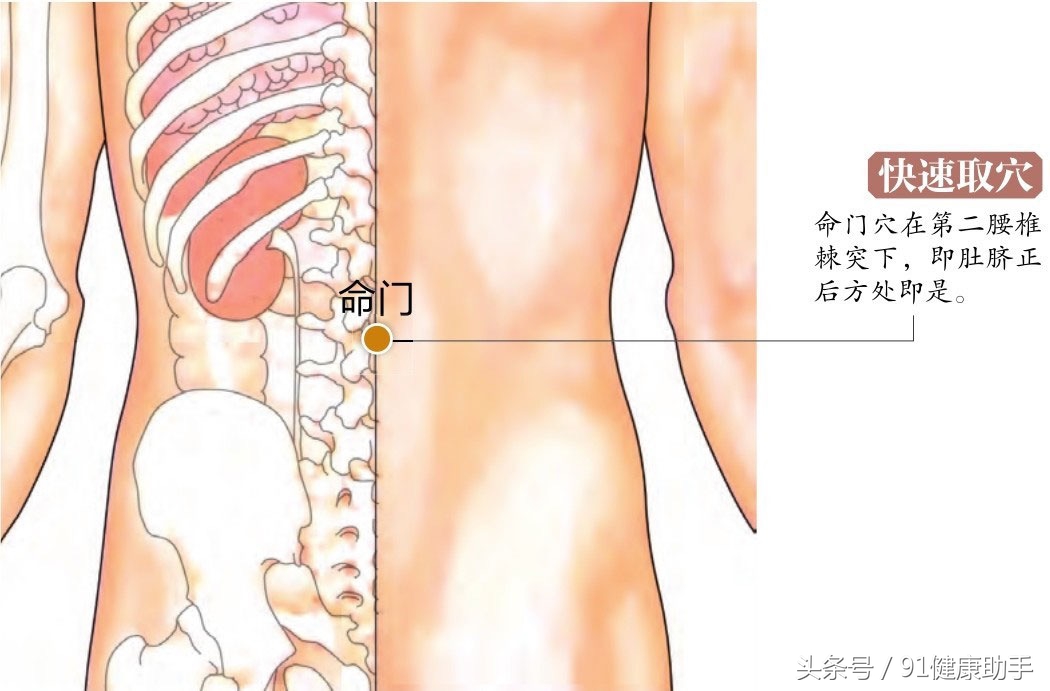 穴位养生腰部,腰痛坐骨神经痛按什么穴位
