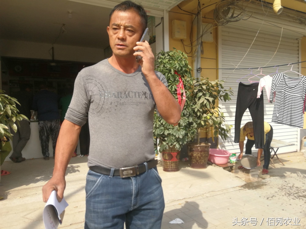 农村种植什么能够快速稳定赚钱呢,在农村种植什么投资小赚钱快