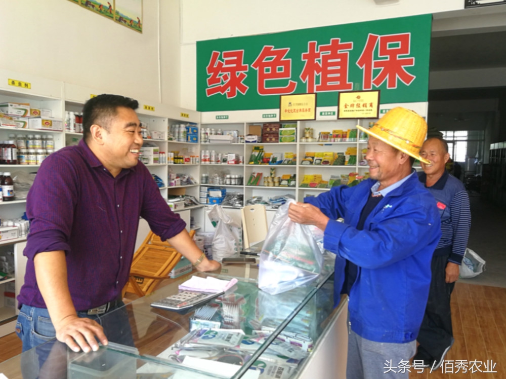 农村种植什么能够快速稳定赚钱呢,在农村种植什么投资小赚钱快