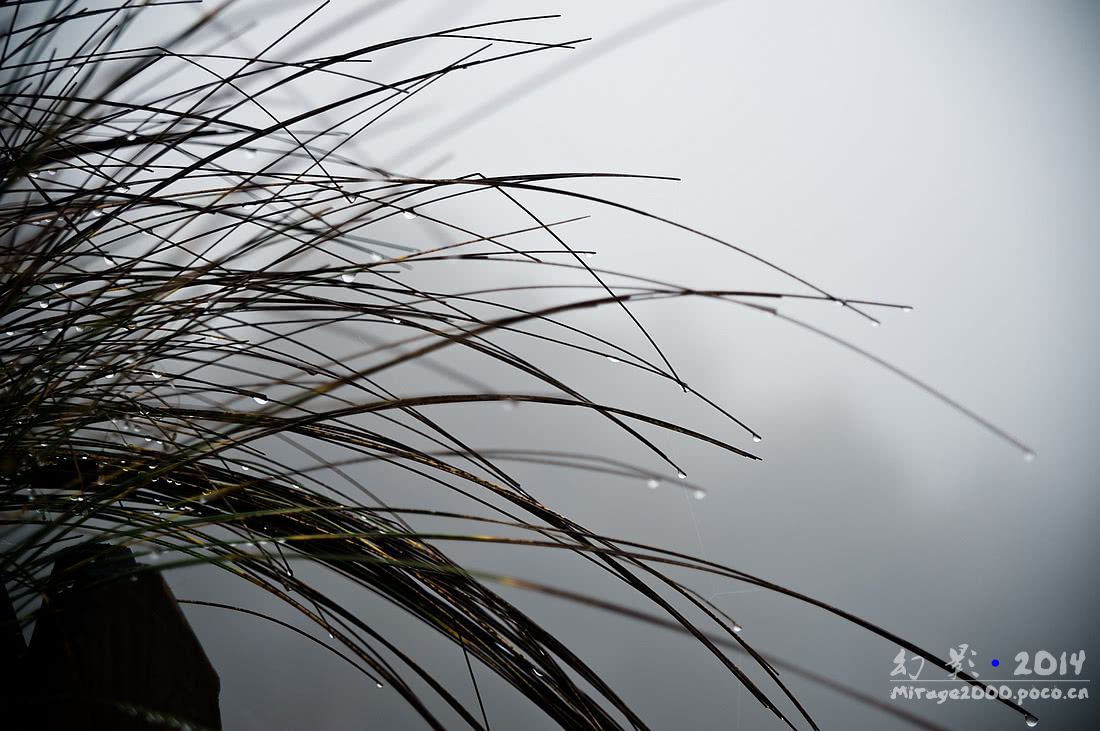 大明山万米岩洞,大明山万米岩洞介绍