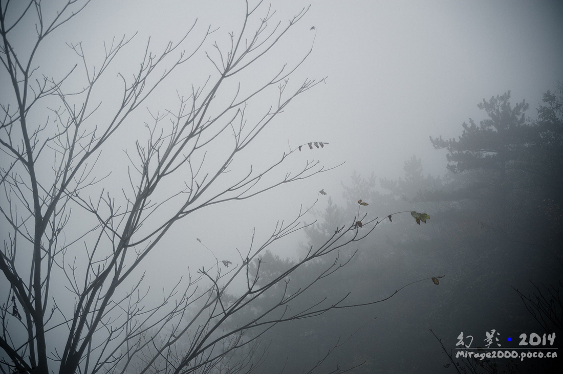 大明山万米岩洞,大明山万米岩洞介绍
