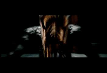 它们长相恐怖，但在世界上却有着超高的人气！