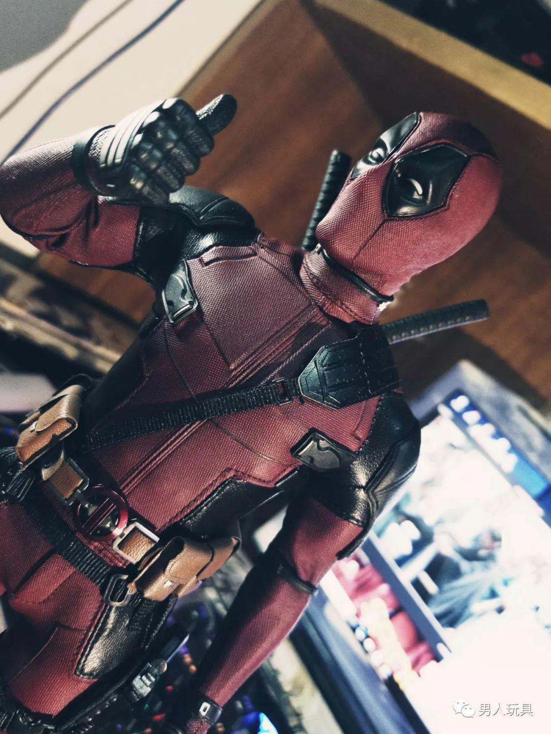 它们长相恐怖，但在世界上却有着超高的人气！