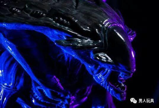 它们长相恐怖，但在世界上却有着超高的人气！