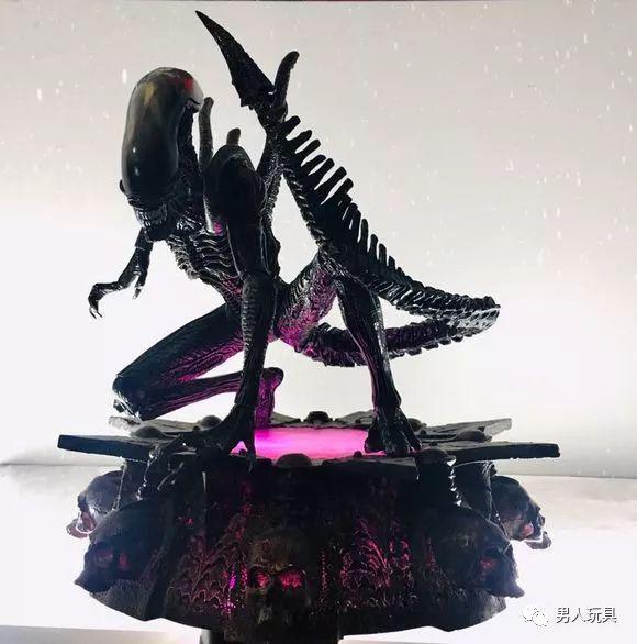 它们长相恐怖，但在世界上却有着超高的人气！