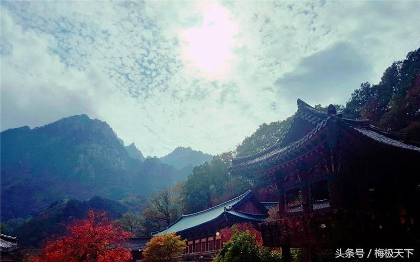 中国游客在韩国开启爆买模式,在机场被罚3万,网友却拍手称赞