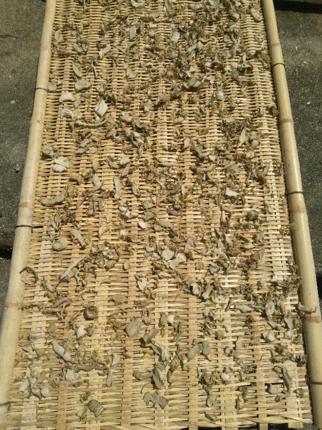 家庭自制笋干的方法,晒笋干是直接晒还是用水焯一下