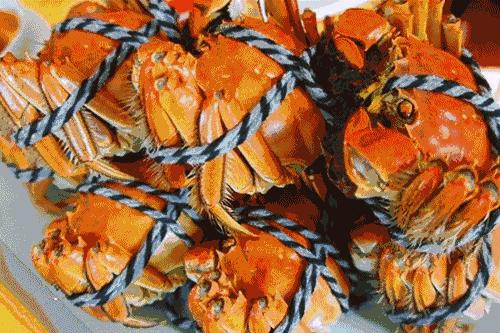 十月禅城胡桃里，在这里等你