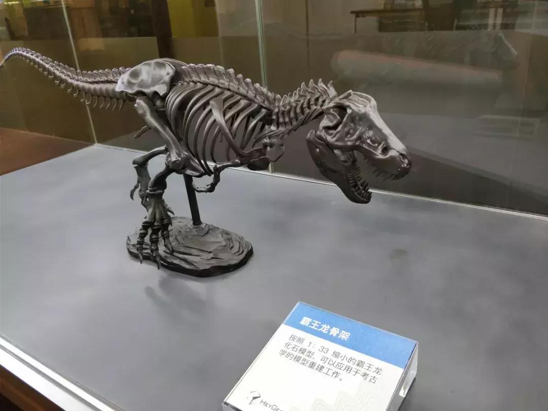 广州国际灯光节看点,广州国际创新节黑科技