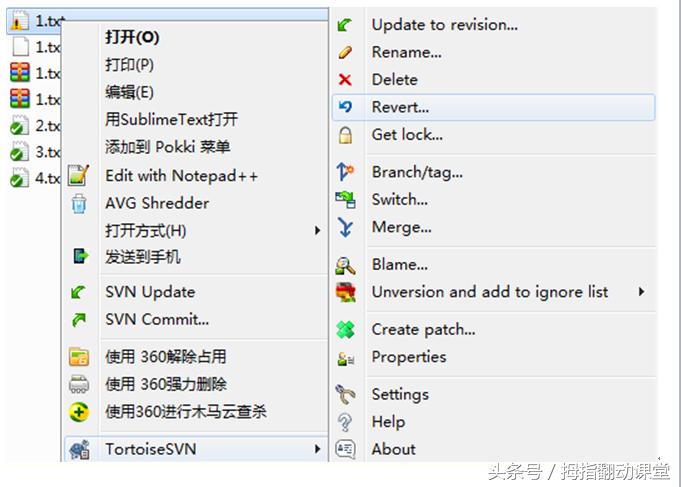 svn使用教程总结,ideasvn使用教程