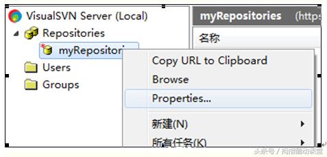 svn使用教程总结,ideasvn使用教程
