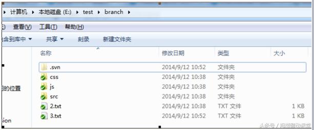 svn使用教程总结,ideasvn使用教程
