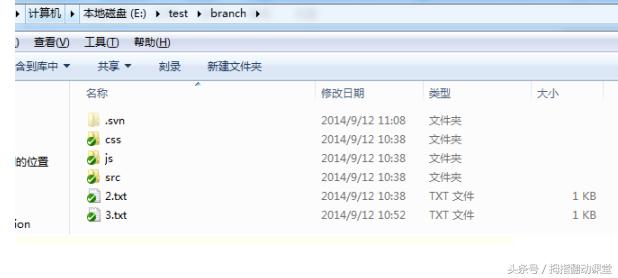 svn使用教程总结,ideasvn使用教程