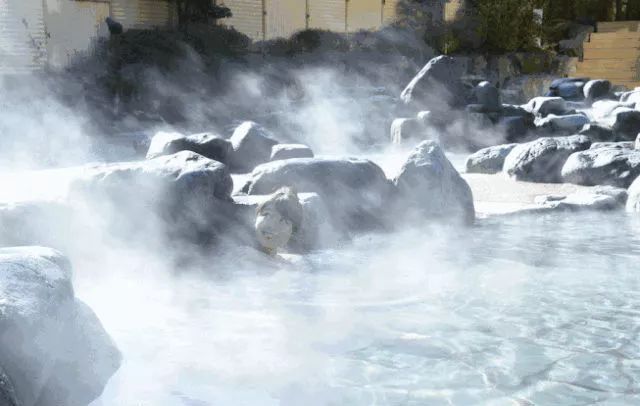 探秘原始村落,探访天然温泉村
