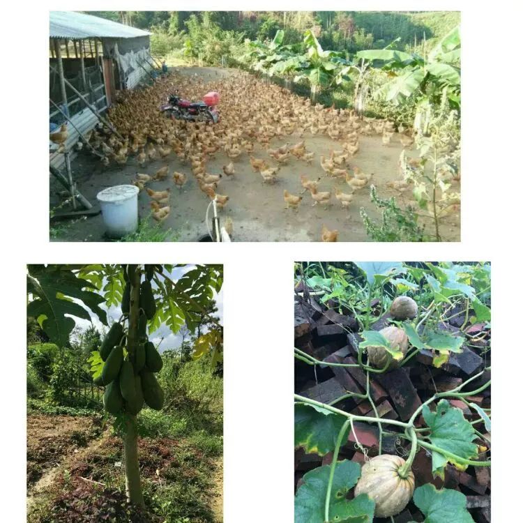 探秘原始村落,探访天然温泉村