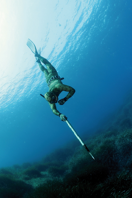 什么是自由潜水调息,什么是自由潜水员和水肺潜水员
