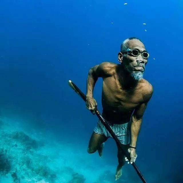 什么是自由潜水调息,什么是自由潜水员和水肺潜水员