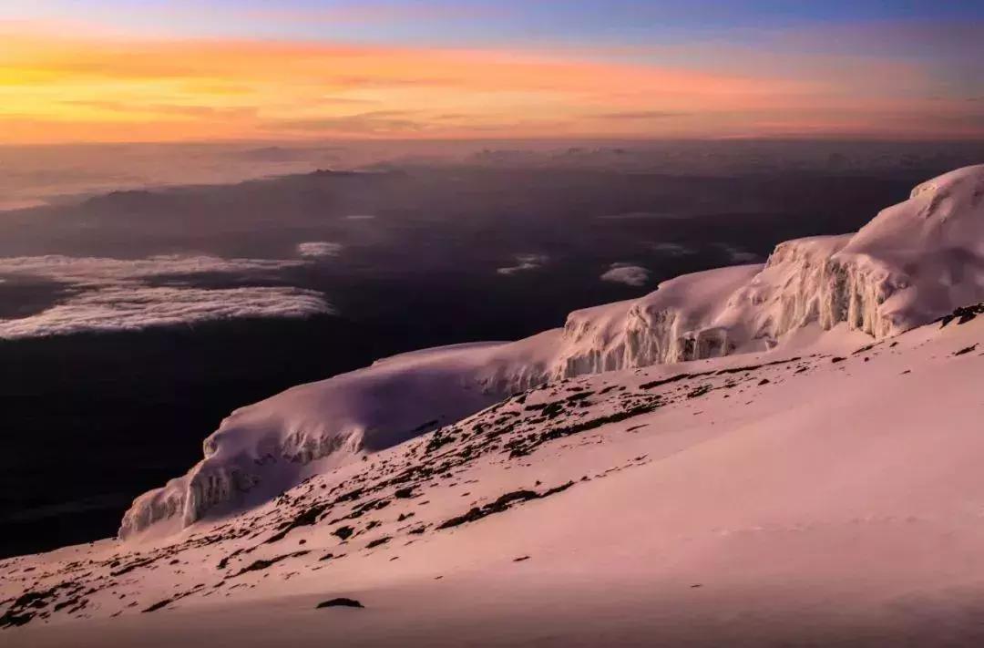 “锦鲤”信小呆的经历,中国锦鲤信小呆环游世界2年归来