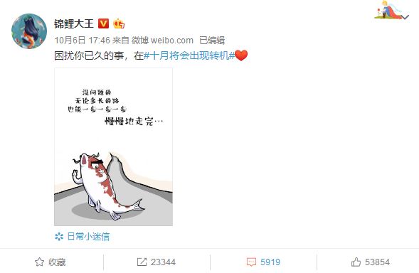 支付宝锦鲤靠什么,支付宝里的锦鲤是怎么回事